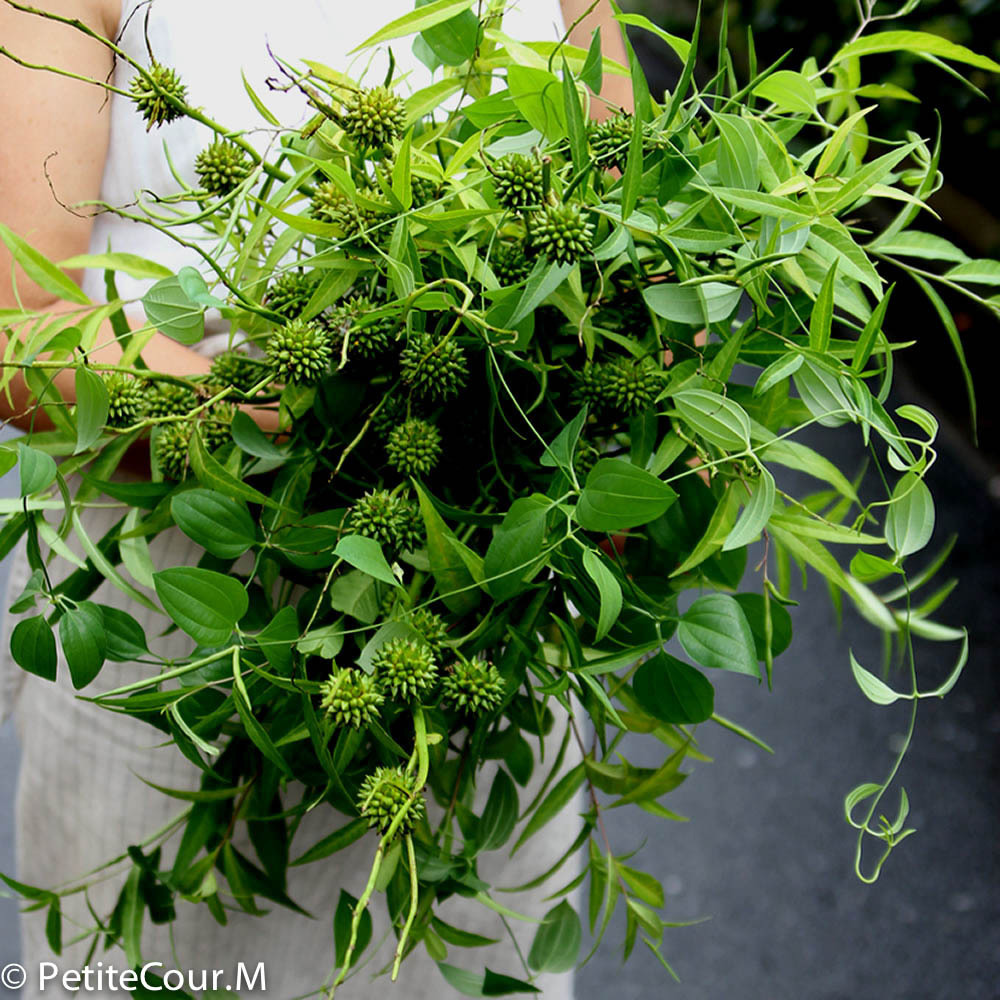 花束、ブーケの写真