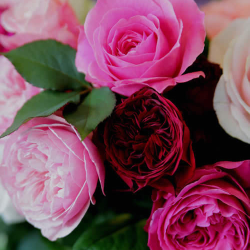 花束、ブーケの写真